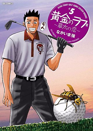 黄金のラフ2 ～草太の恋～(5)