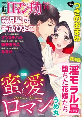 禁断Loversロマンチカ Vol.14 蜜愛ロマン