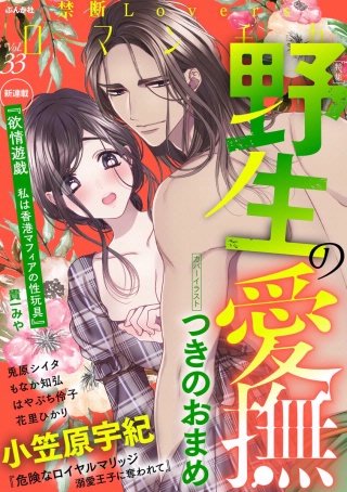 禁断Loversロマンチカ Vol.33 野生の愛撫