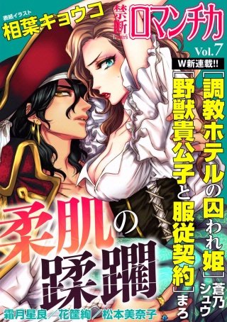 禁断Loversロマンチカ Vol.7 柔肌の蹂躙