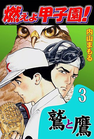 燃えよ甲子園!鷲と鷹(3)