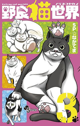 野良猫世界(3)