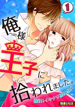 俺様王子に拾われました。～強引!イキナリ初体験!?～
