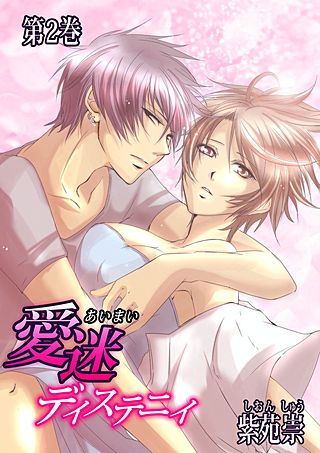 愛迷ディステニィ(2)