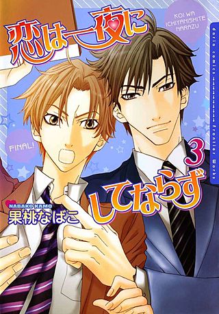 恋は一夜にしてならず(3)