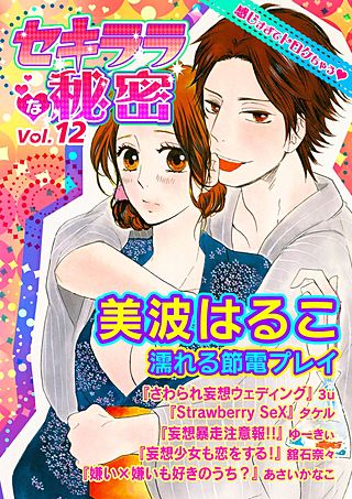 セキララな秘密(12)