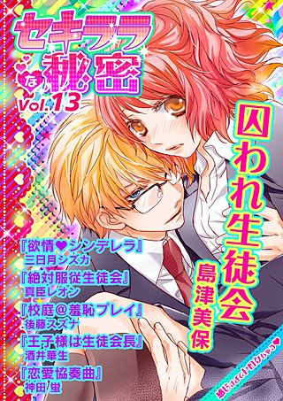 セキララな秘密(13)