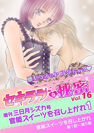 セキララな秘密(16)