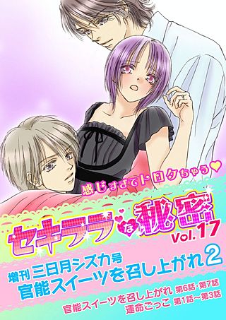 セキララな秘密(17)
