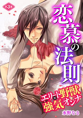 恋慕の法則 －エリート野獣×強気オンナ－(3)