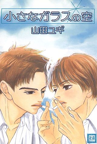 小さなガラスの空