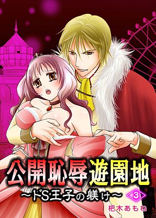 公開恥辱遊園地 ～ドS王子の躾け～(3)