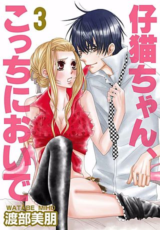 仔猫ちゃん、こっちにおいで【特装版】(3)