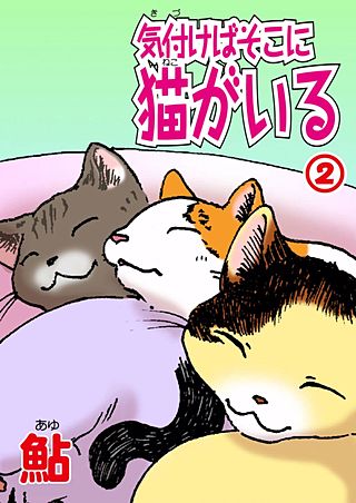 気付けばそこに猫がいる(2)