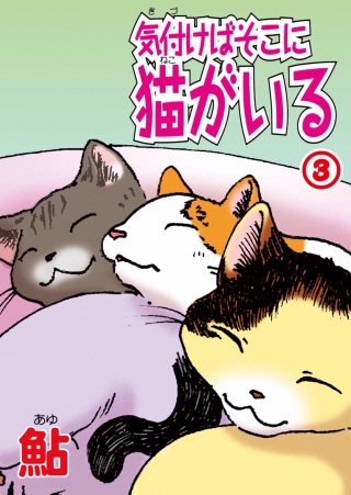 気付けばそこに猫がいる(3)