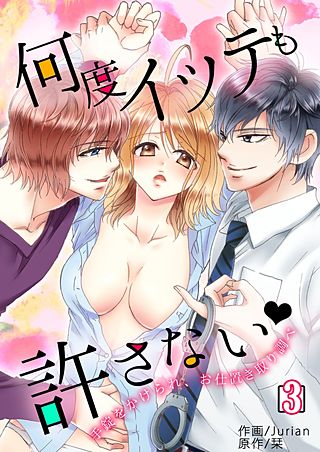 何度イッテも許さない~手錠をかけられ、お仕置き取り調べ~(3)