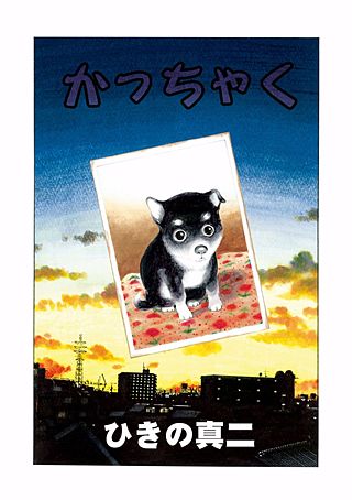 かっちゃく