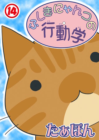 ふしぎにゃんコの行動学 14