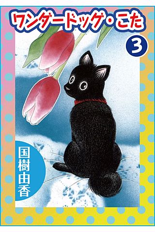 ワンダードッグ・こた(3)