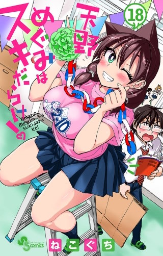 天野めぐみはスキだらけ！(18)