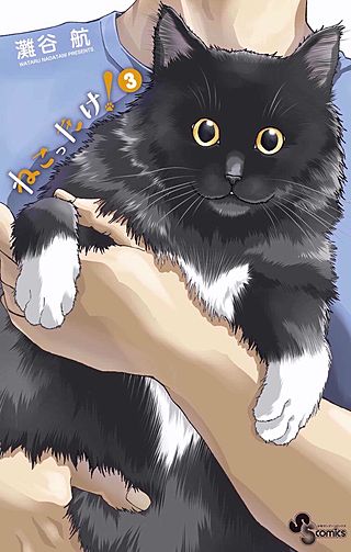 ねこったけ！(3)