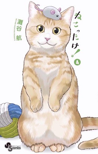 ねこったけ！(4)