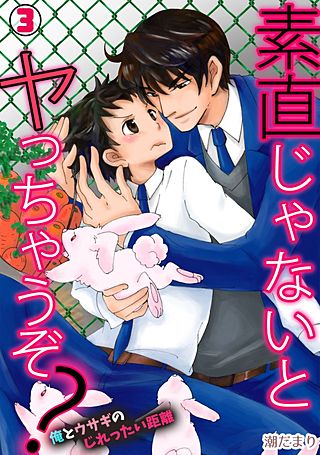 素直じゃないとヤっちゃうぞ？～俺とウサギのじれったい距離～(3)