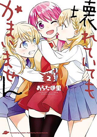 壊れていてもかまいません(2)