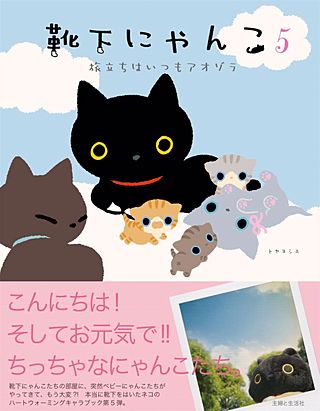 靴下にゃんこ５　旅立ちはいつもアオゾラ