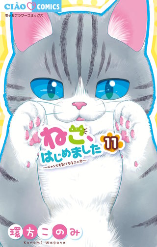 ねこ、はじめました(11)