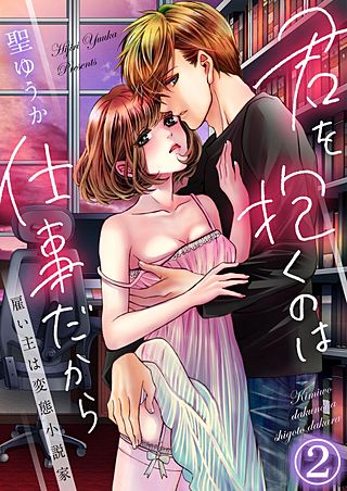 君を抱くのは仕事だから~雇い主は変態小説家~(2)
