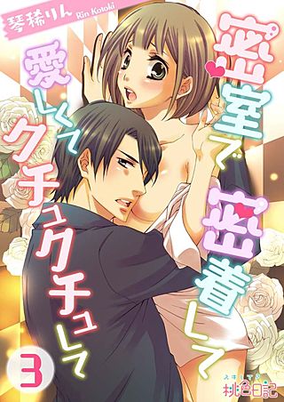 密室で 密着して 愛しくて クチュクチュして(3)