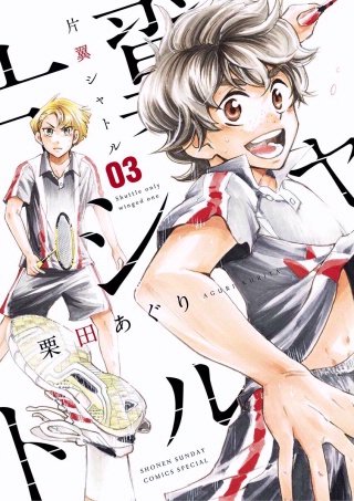 片翼シャトル(3)