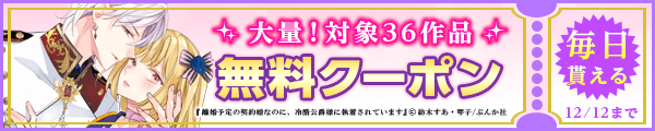 11/29から12/12 ぶんか社クーポン
