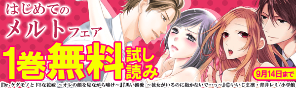 はじめてのメルトフェア