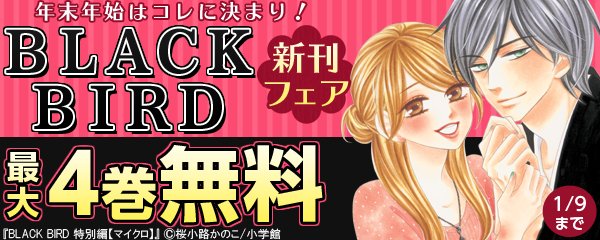 年末年始はコレに決まり！「ＢＬＡＣＫ　ＢＩＲＤ」新刊フェア