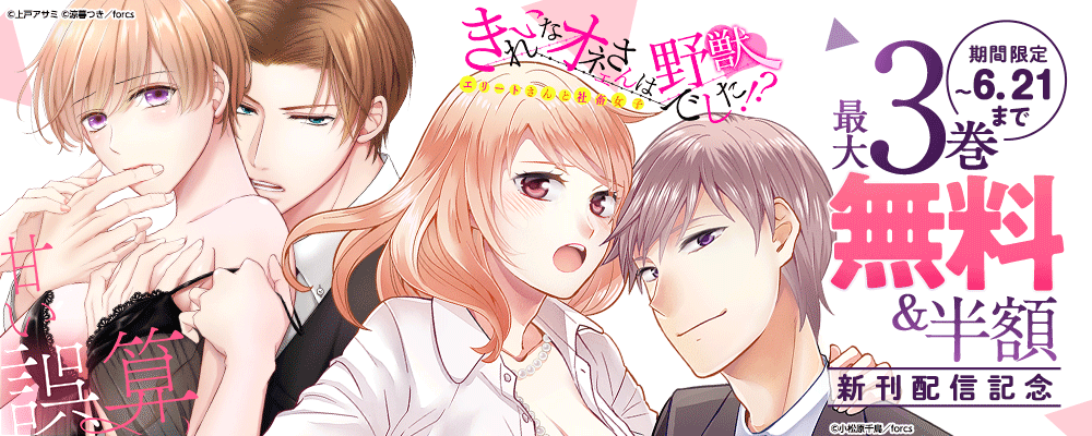 きれいなオネエさんは野獣でした！？～エリートさんと社畜女子/新刊配信記念