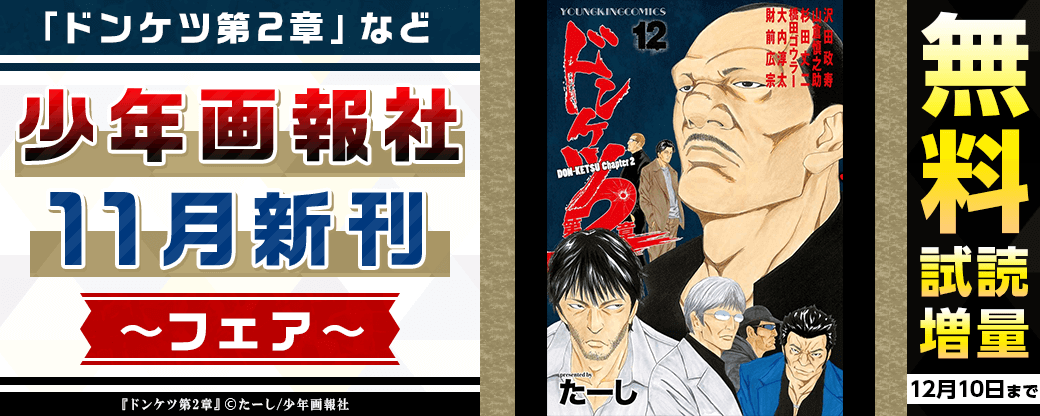「ドンケツ第2章」など　少年画報社11月新刊フェア