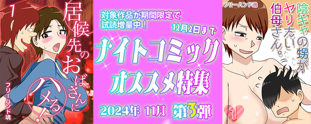 ナイトコミック おすすめ特集 2024年11月度【第3弾】