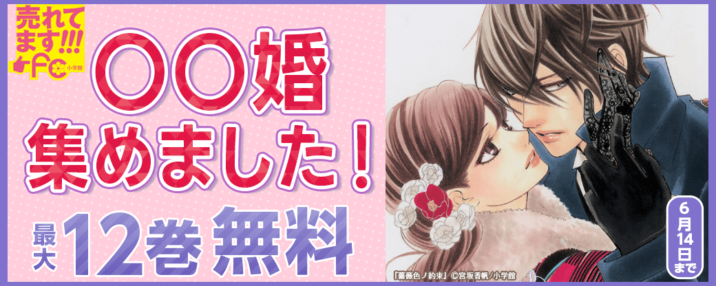 売れてます！FC～〇〇婚、集めました！～