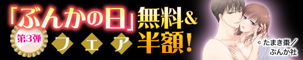 11/16-11/18「ぶんかの日」フェア 半額＆無料！　第3弾