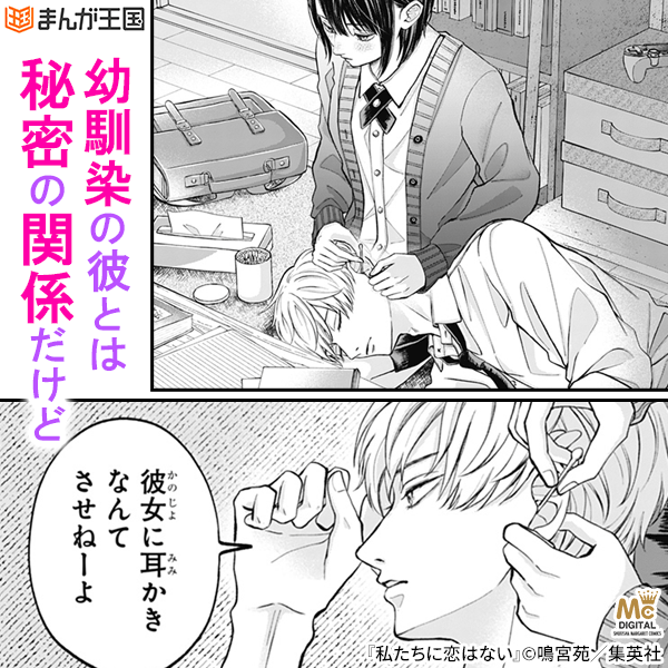 私たちに恋はない 分冊版
