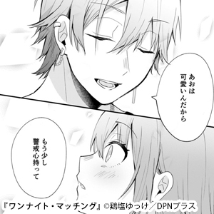 ワンナイト・マッチング