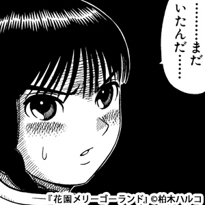 花園メリーゴーランド
