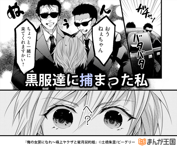 俺の女房になれ～極上ヤクザと蜜月契約婚