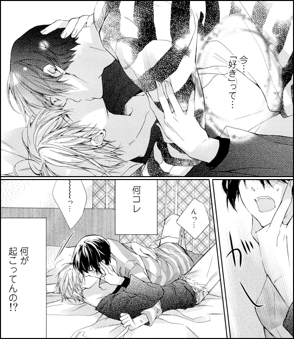 ひとつ屋根の下のケダモノ