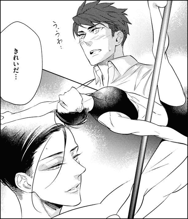 僕の淫らなポールスター【電子限定かきおろし漫画付】