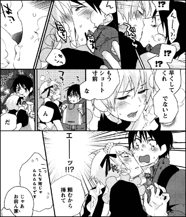 愛玩ドール100％