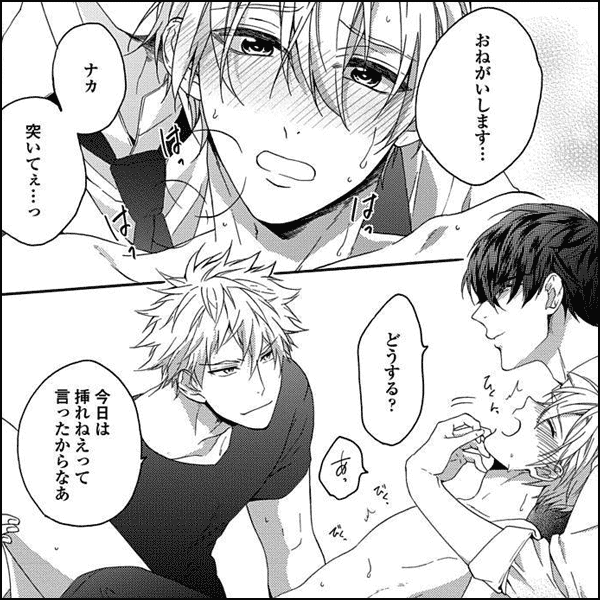 新宿バチェラーと夜鳴きネコ【単行本版（電子限定描き下ろし付）】