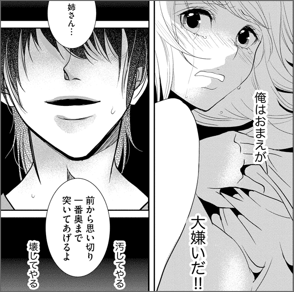 姉は弟に奪われる